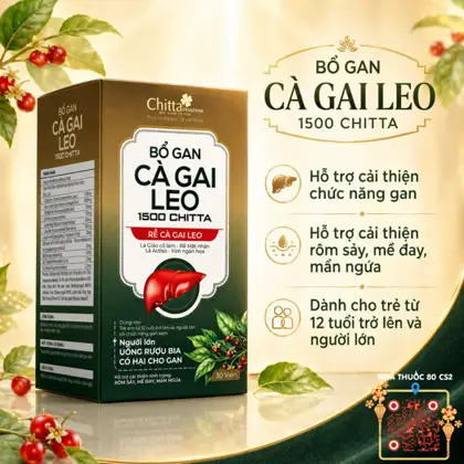 🌿 Bổ Gan Cà Gai Leo 1500 CHITTA — Hỗ Trợ Cải Thiện Chức Năng Gan
